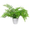 Buy Artificial Fern Plant Pot Royal Fern Leaf Design UK 30cm