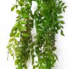 Artificial-Hanging-Plant-100cm-Pearls-Fern-Plant-1 Artificial Hanging Plant 100cm Pearls Fern Plant