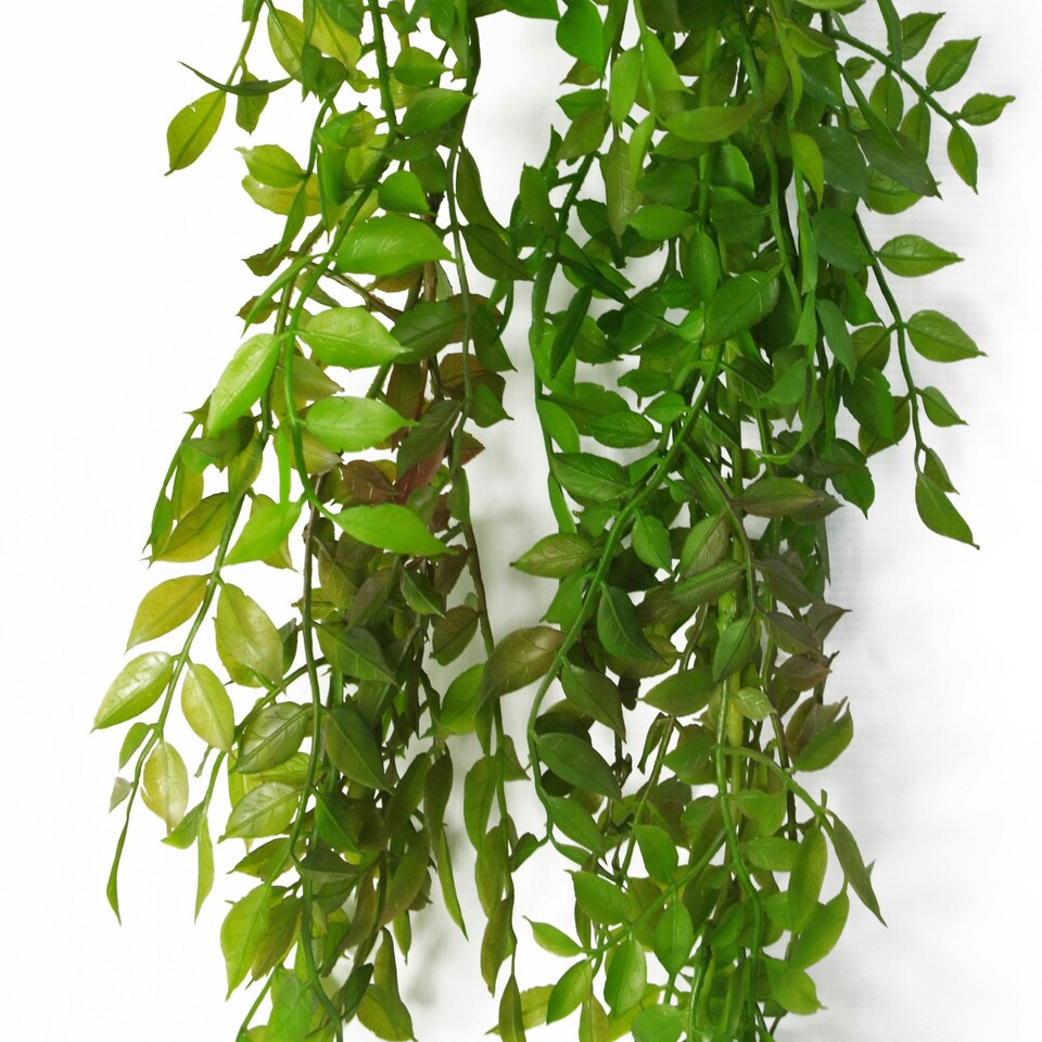 Artificial-Hanging-Plant-100cm-Pearls-Fern-Plant-1 Artificial Hanging Plant 100cm Pearls Fern Plant