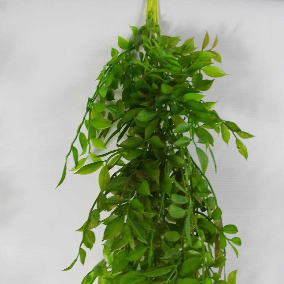 Artificial-Hanging-Plant-100cm-Pearls-Fern-Plant-2 Artificial Hanging Plant 100cm Pearls Fern Plant