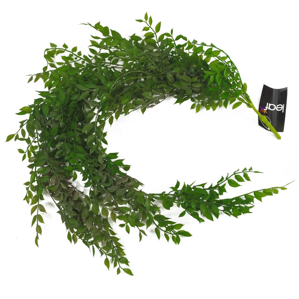 Artificial-Hanging-Plant-100cm-Pearls-Fern-Plant-3 Artificial Hanging Plant 100cm Pearls Fern Plant