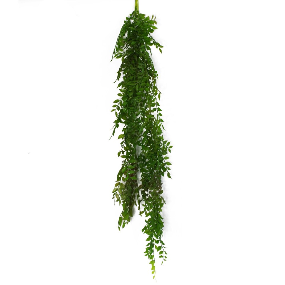 Artificial-Hanging-Plant-100cm-Pearls-Fern-Plant Buy Artificial Hanging Plant 100cm Pearls Fern Plant