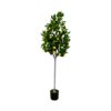 Buy Artificial Lemon Tree Large Potted Artificial 155cm