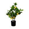 Buy Artificial Lemon Tree Small 60cm Potted Artificial Plant