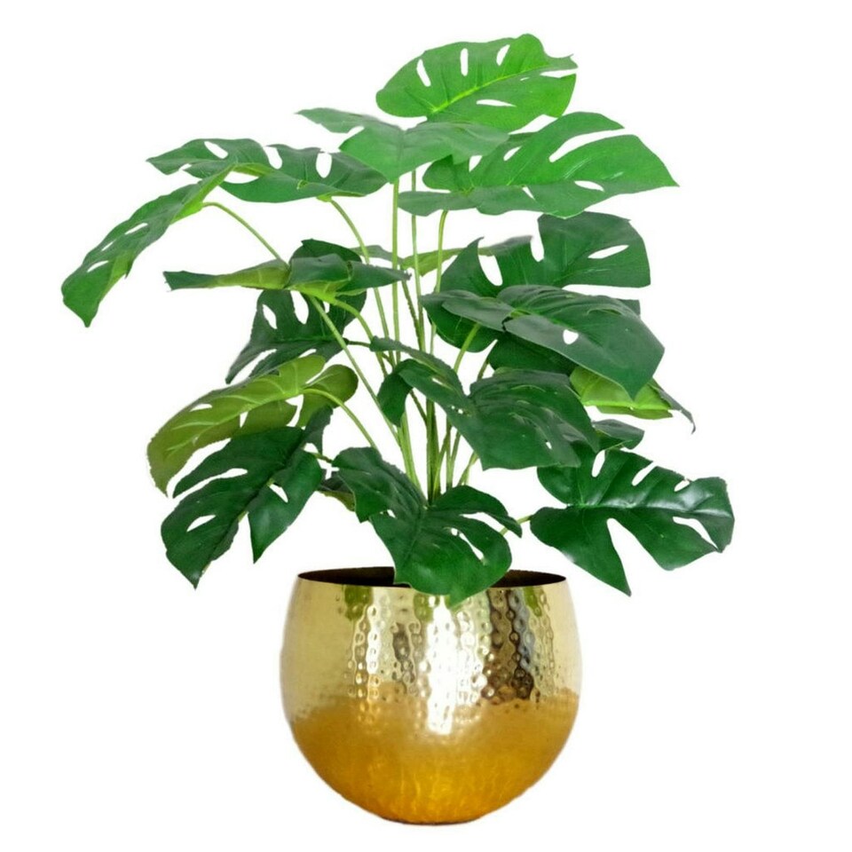 Artificial-Monstera-Cheese-Plant-Monstera-Gold-Metal-Planter-60cm Buy Artificial Monstera Cheese Plant Monstera 60cm Gold