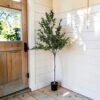 Artificial-Olive-Tree-Large-180cm-Potted-Faux-Plant-1 Artificial Olive Tree Large 180cm Potted Faux Plant