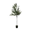 Artificial-Olive-Tree-Large-180cm-Potted-Faux-Plant Buy Artificial Olive Tree Large Potted Artificial 180cm