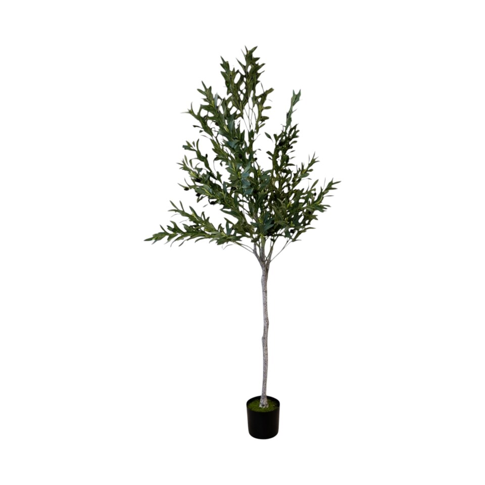 Artificial-Olive-Tree-Large-180cm-Potted-Faux-Plant Buy Artificial Olive Tree Large Potted Artificial 180cm