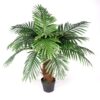 Buy Artificial Princess Palm Tree - 100cm Brown Trunk