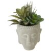 Fiori-Buddha-Pot-Mixed-Succulent-1 Fiori Buddha Pot Mixed Succulent