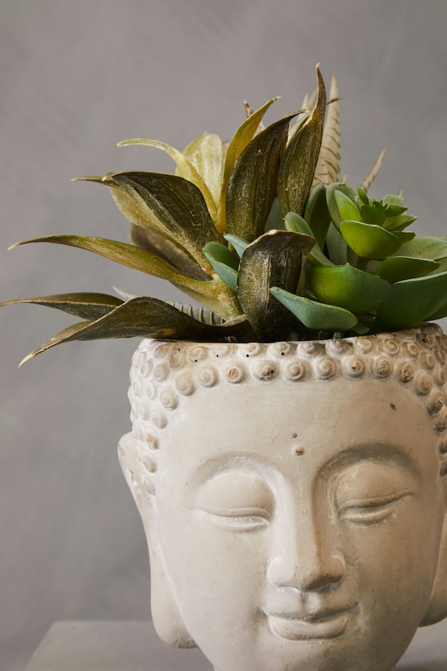Fiori-Buddha-Pot-Mixed-Succulent-2 Fiori Buddha Pot Mixed Succulent