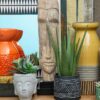Fiori-Buddha-Pot-Mixed-Succulent-3 Fiori Buddha Pot Mixed Succulent