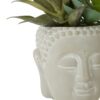 Fiori-Buddha-Pot-Mixed-Succulent-4 Fiori Buddha Pot Mixed Succulent