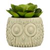 Buy Artificial Large Succulent in Grey Ceramic Owl Pot
