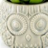 Fiori Large Succulent in Grey Ceramic Owl Pot