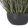 Fountain Grass Plant in Pot - Plastic - Height 50 cm - Green
