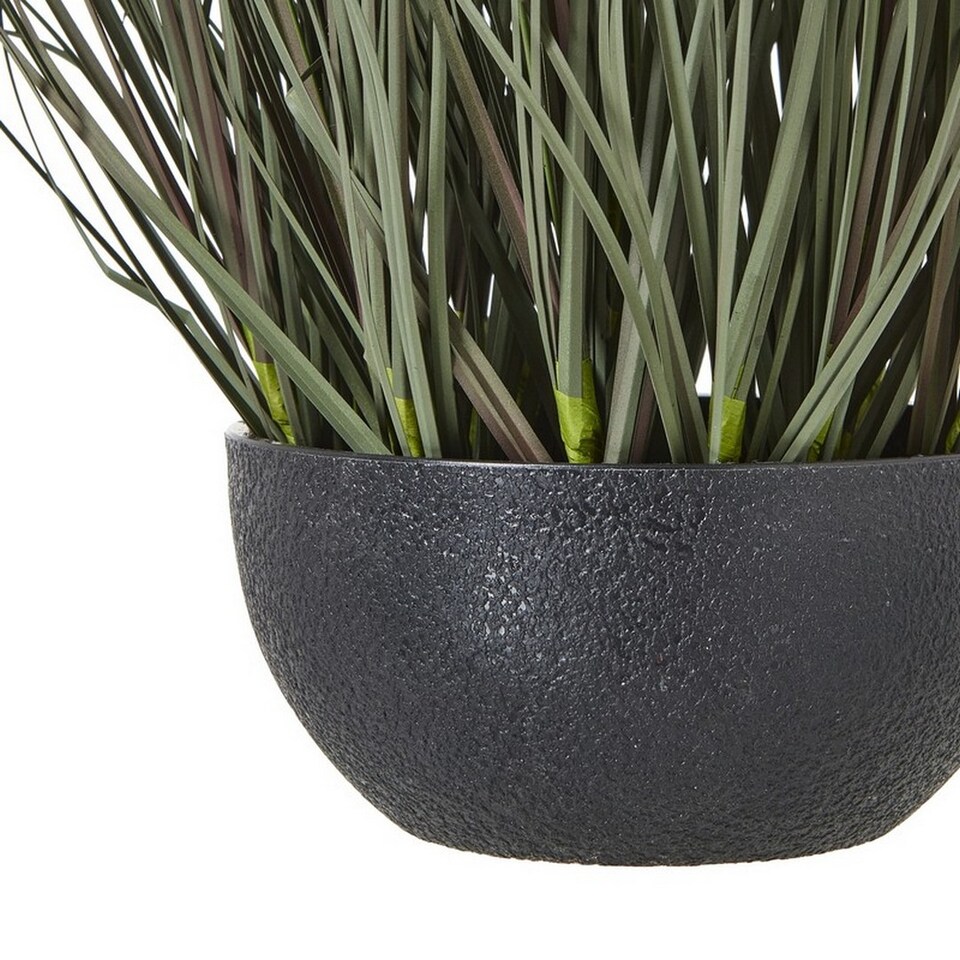 Fountain Grass Plant in Pot - Plastic - Height 50 cm - Green