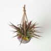 Homescapes-Artifical-Hanging-Succulents-in-Grey-Pot-1 Homescapes Artifical Hanging Succulents in Grey Pot