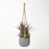 Homescapes-Artifical-Hanging-Succulents-in-Grey-Pot Buy Artificial Artifical Hanging Succulents in Grey Pot