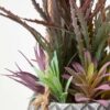 Homescapes-Artifical-Hanging-Succulents-in-Grey-Pot-3 Homescapes Artifical Hanging Succulents in Grey Pot