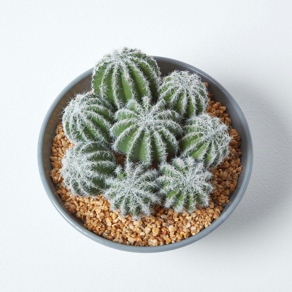 Homescapes Artificial Barrel Cactus Arrangement in Round Grey Pot, 17 cm Tall