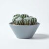 Homescapes Artificial Barrel Cactus Arrangement in Round Grey Pot, 17 cm Tall