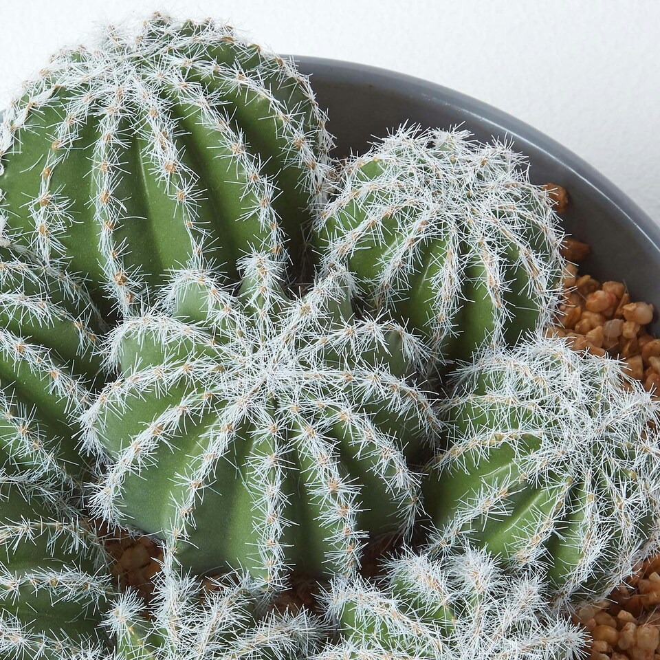 Homescapes Artificial Barrel Cactus Arrangement in Round Grey Pot, 17 cm Tall