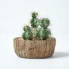 Homescapes-Echinocactus-Artificial-Cactus-in-Round-Wooden-Planter-15-cm-Tall Buy Echinocactus Artificial Cactus in Round Wooden 15cm
