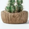 Homescapes-Echinocactus-Artificial-Cactus-in-Round-Wooden-Planter-15-cm-Tall-3 Homescapes Echinocactus Artificial Cactus in Round Wooden Planter, 15 cm Tall