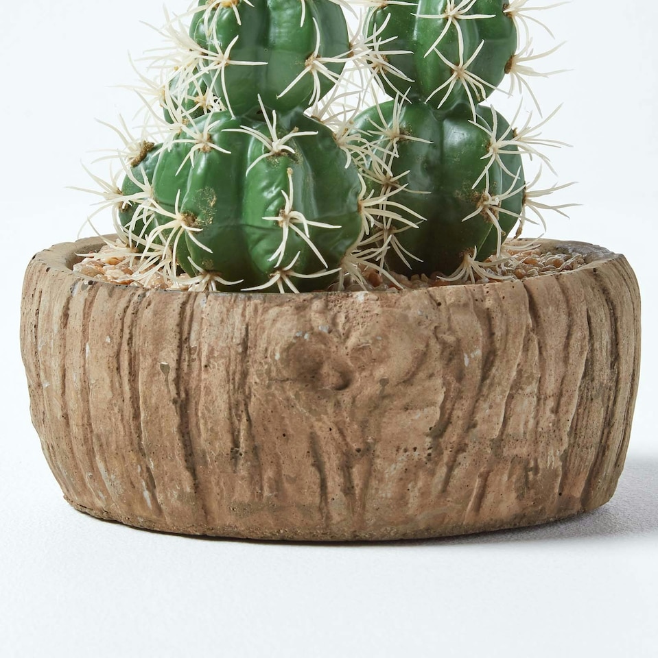 Homescapes-Echinocactus-Artificial-Cactus-in-Round-Wooden-Planter-15-cm-Tall-3 Homescapes Echinocactus Artificial Cactus in Round Wooden Planter, 15 cm Tall