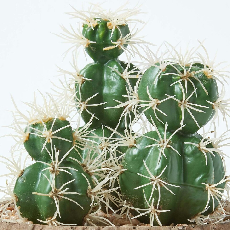 Homescapes-Echinocactus-Artificial-Cactus-in-Round-Wooden-Planter-15-cm-Tall-4 Homescapes Echinocactus Artificial Cactus in Round Wooden Planter, 15 cm Tall