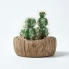 Homescapes-Echinocactus-Artificial-Cactus-in-Round-Wooden-Planter-15-cm-Tall-5 Homescapes Echinocactus Artificial Cactus in Round Wooden Planter, 15 cm Tall