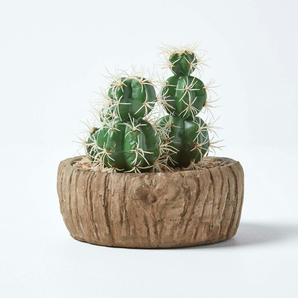 Homescapes-Echinocactus-Artificial-Cactus-in-Round-Wooden-Planter-15-cm-Tall-5 Homescapes Echinocactus Artificial Cactus in Round Wooden Planter, 15 cm Tall