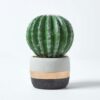 Buy Golden Barrel Artificial Cactus in Contemporary 19cm