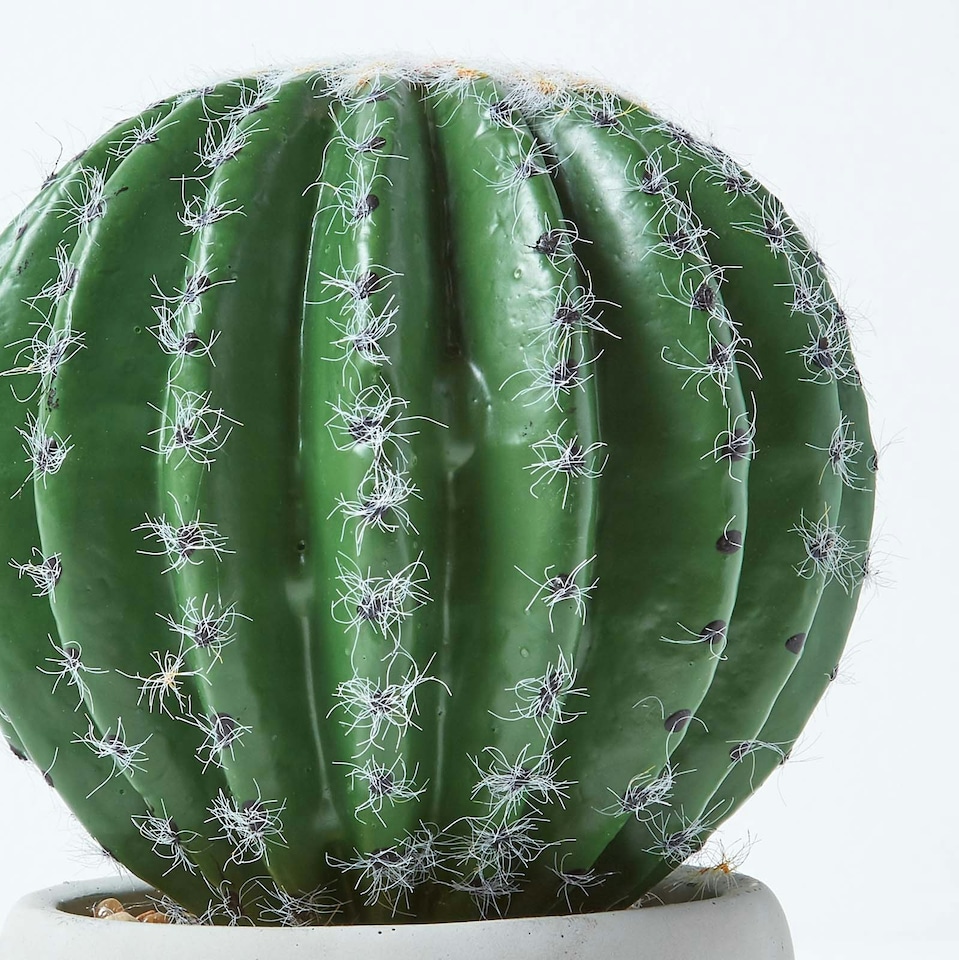 Homescapes Golden Barrel Artificial Cactus in Contemporary Stone Pot, 19 cm Tall