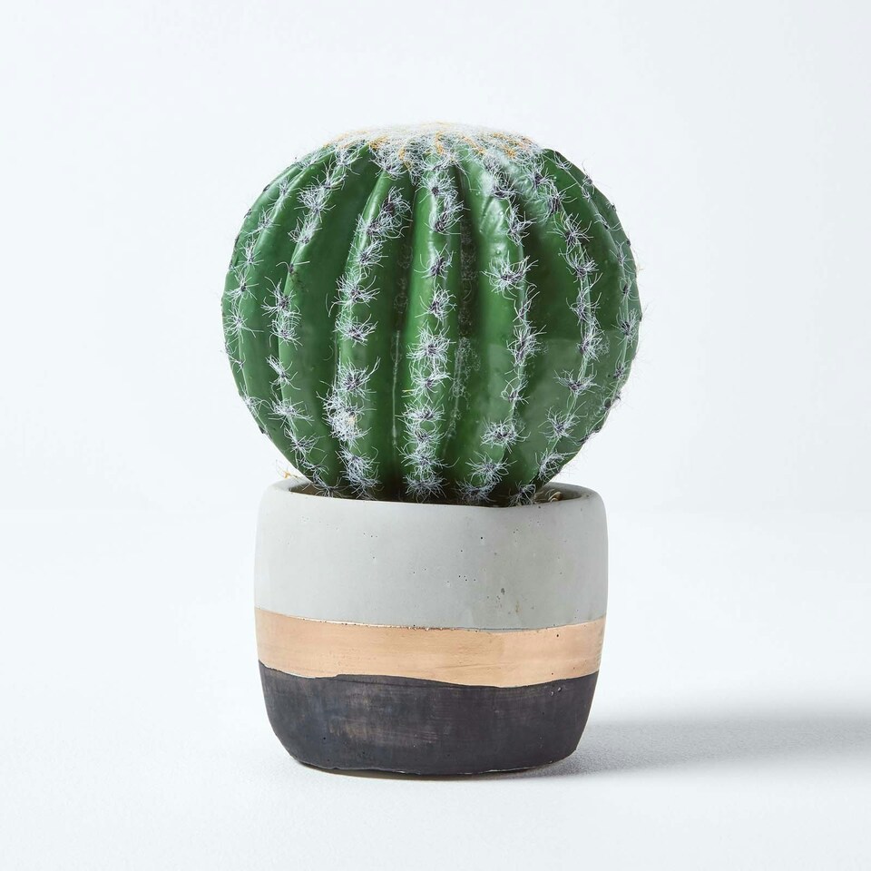 Homescapes Golden Barrel Artificial Cactus in Contemporary Stone Pot, 19 cm Tall