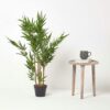 Homescapes Green 3ft Bamboo Tree Artificial Plant with Pot, 95 cm