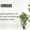 Homescapes Green 3ft Bamboo Tree Artificial Plant with Pot, 95 cm