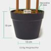 Homescapes Green 5ft Bamboo Tree Artificial Plant with Pot, 155 cm