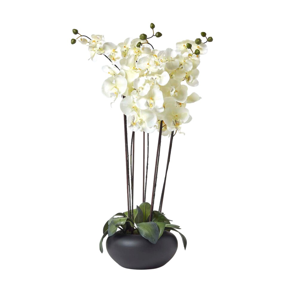 Homescapes Large Oriental Style Cream Orchids in Black Bowl