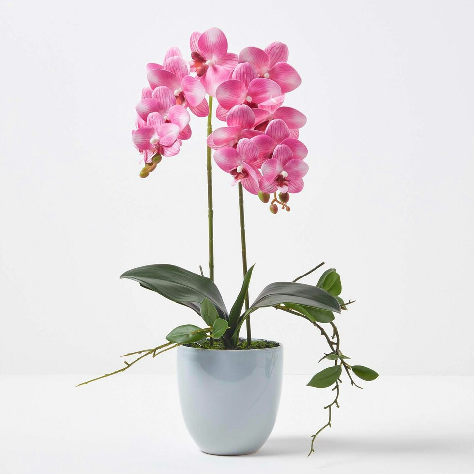 Homescapes Pink Orchid 54 cm Phalaenopsis in Ceramic Pot