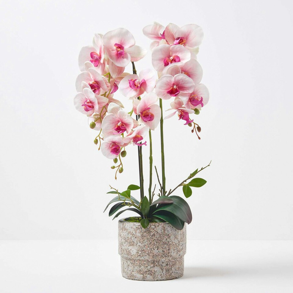 Homescapes Pink Orchid 64 cm Phalaenopsis in Cement Pot Extra Large, 3 Stems
