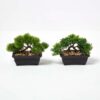 Buy Artificial Bonsai Trees in Decorative Pots 15cm Set of 2