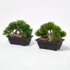 Homescapes Set of 2 Artificial Bonsai Trees in Decorative Pots, 15 cm Tall