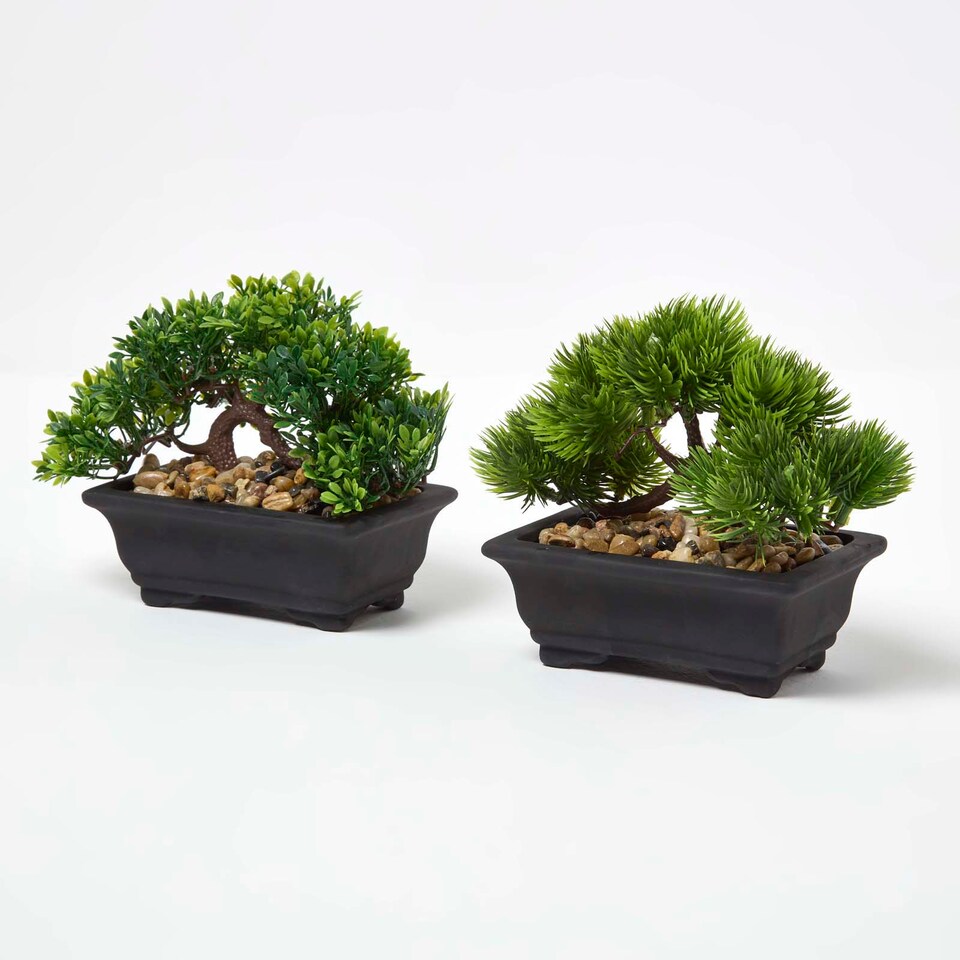 Homescapes Set of 2 Artificial Bonsai Trees in Decorative Pots, 15 cm Tall