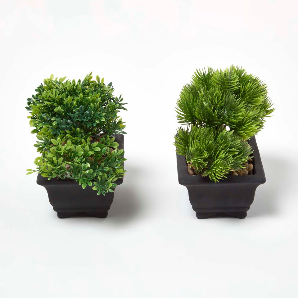 Homescapes Set of 2 Artificial Bonsai Trees in Decorative Pots, 15 cm Tall