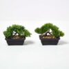 Homescapes Set of 2 Artificial Bonsai Trees in Decorative Pots, 15 cm Tall
