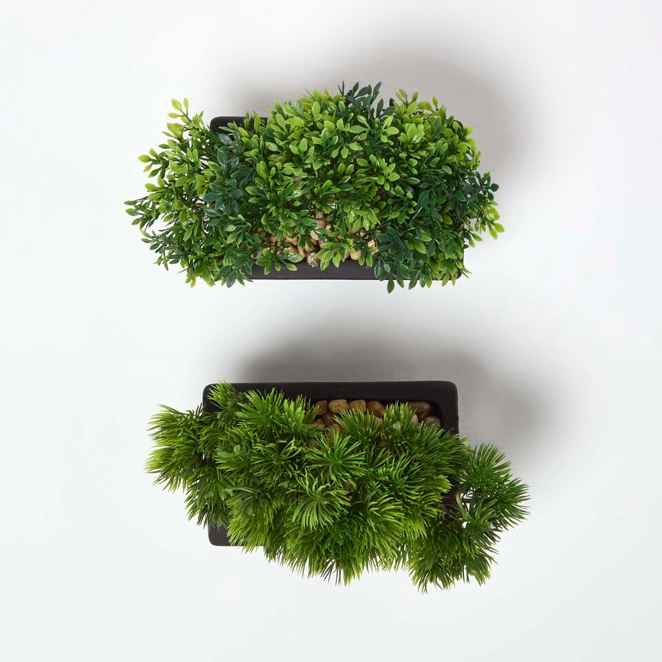 Homescapes Set of 2 Artificial Bonsai Trees in Decorative Pots, 15 cm Tall