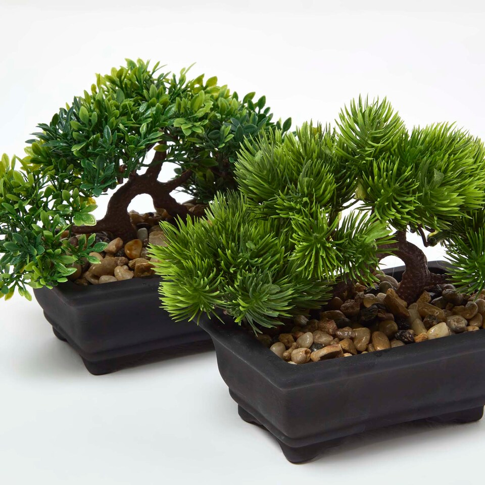 Homescapes Set of 2 Artificial Bonsai Trees in Decorative Pots, 15 cm Tall