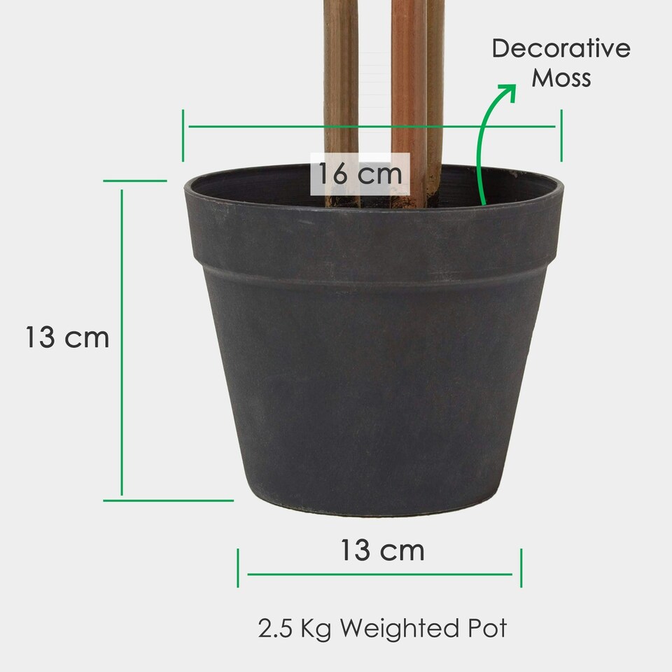 Homescapes Tall Artificial Bamboo Tree in Black Pot